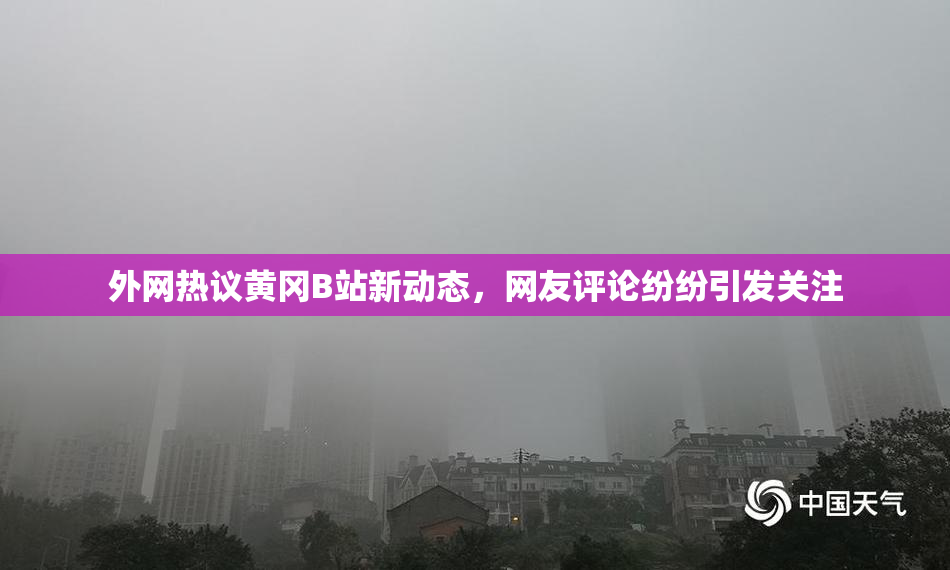 外网热议黄冈B站新动态，网友评论纷纷引发关注