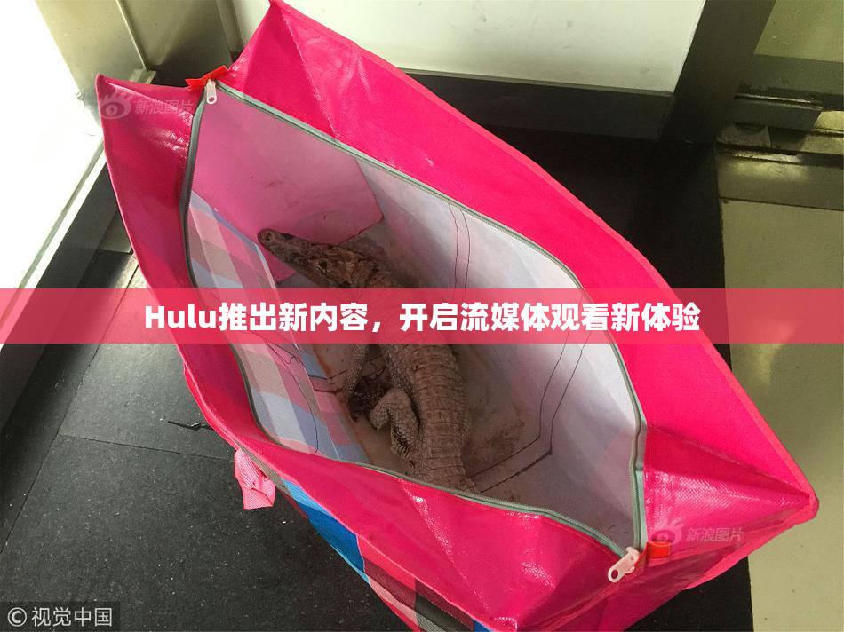 Hulu推出新内容，开启流媒体观看新体验