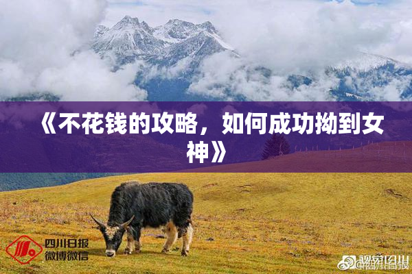 《不花钱的攻略，如何成功拗到女神》