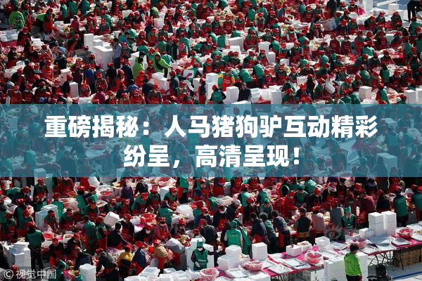 重磅揭秘：人马猪狗驴互动精彩纷呈，高清呈现！