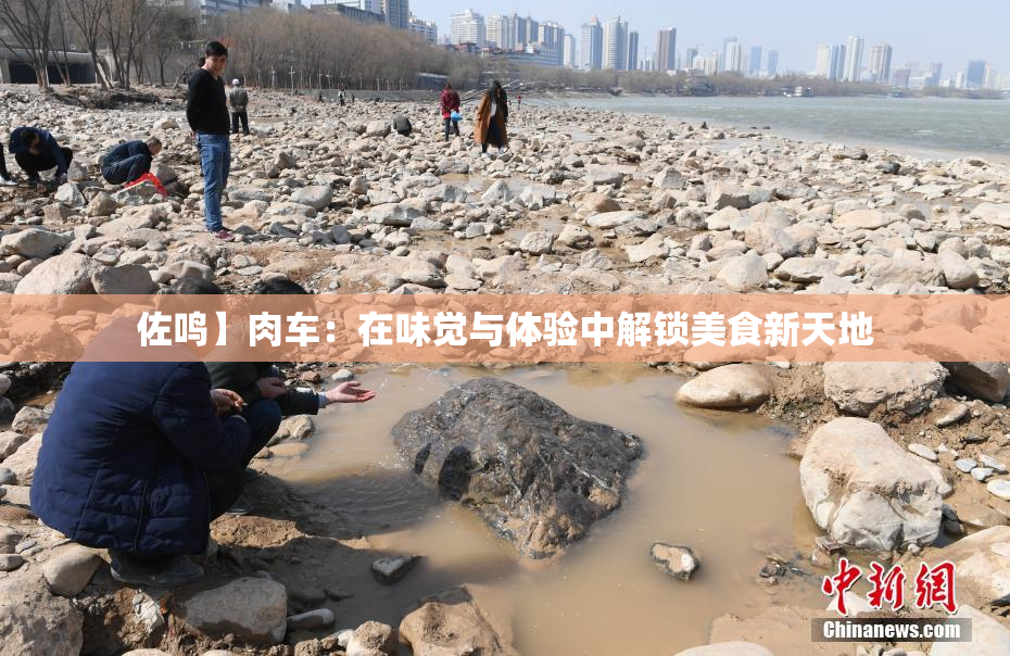 佐鸣】肉车：在味觉与体验中解锁美食新天地
