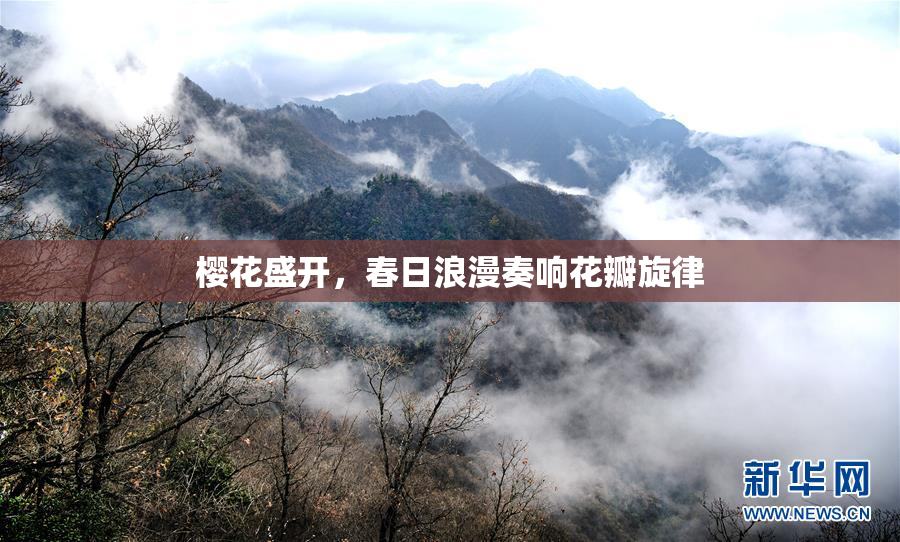 樱花盛开，春日浪漫奏响花瓣旋律