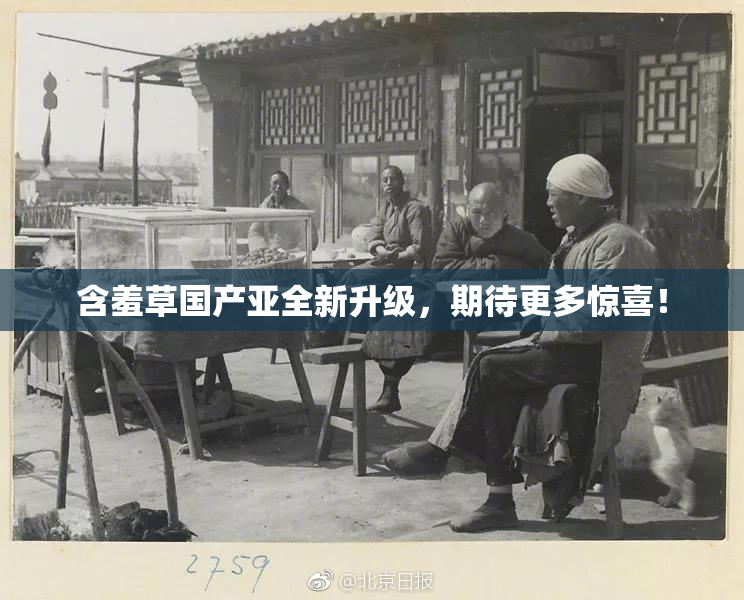 含羞草国产亚全新升级，期待更多惊喜！