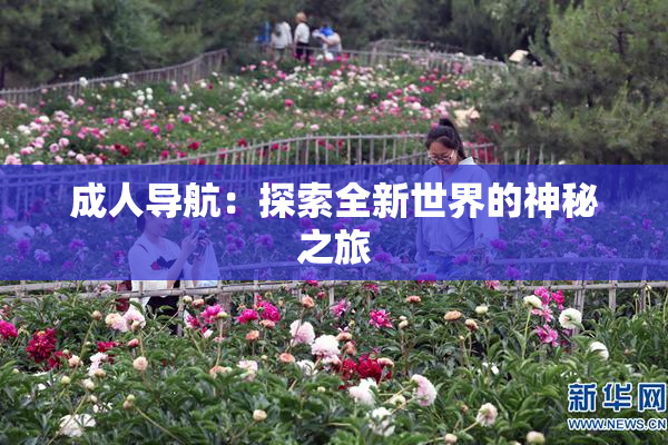 成人导航：探索全新世界的神秘之旅