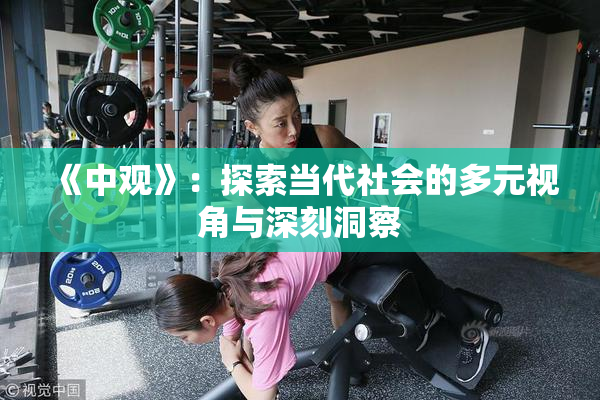 《中观》：探索当代社会的多元视角与深刻洞察