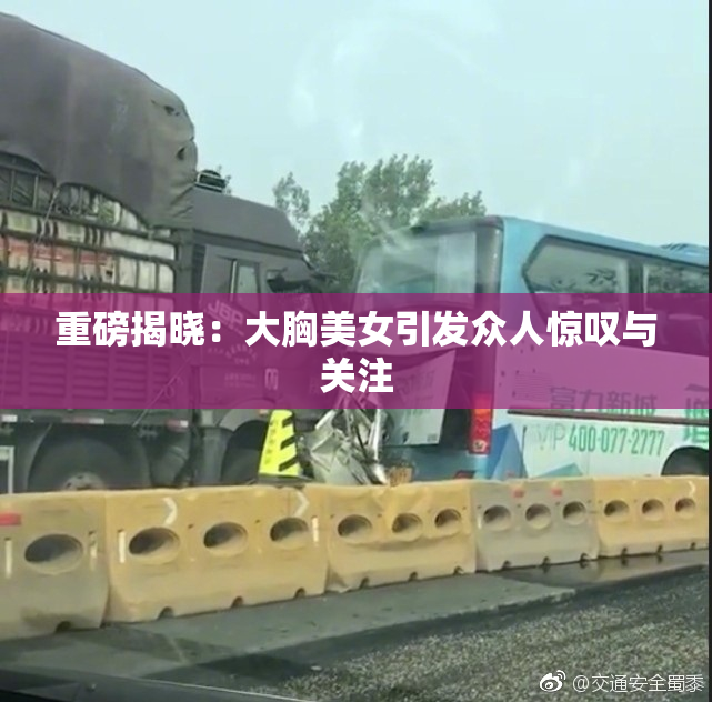 重磅揭晓：大胸美女引发众人惊叹与关注