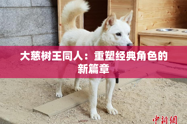 大慈树王同人：重塑经典角色的新篇章