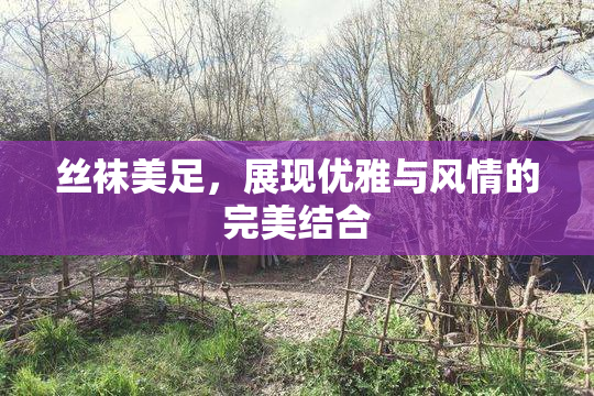 丝袜美足，展现优雅与风情的完美结合