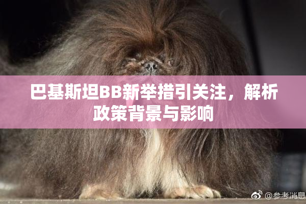 巴基斯坦BB新举措引关注，解析政策背景与影响