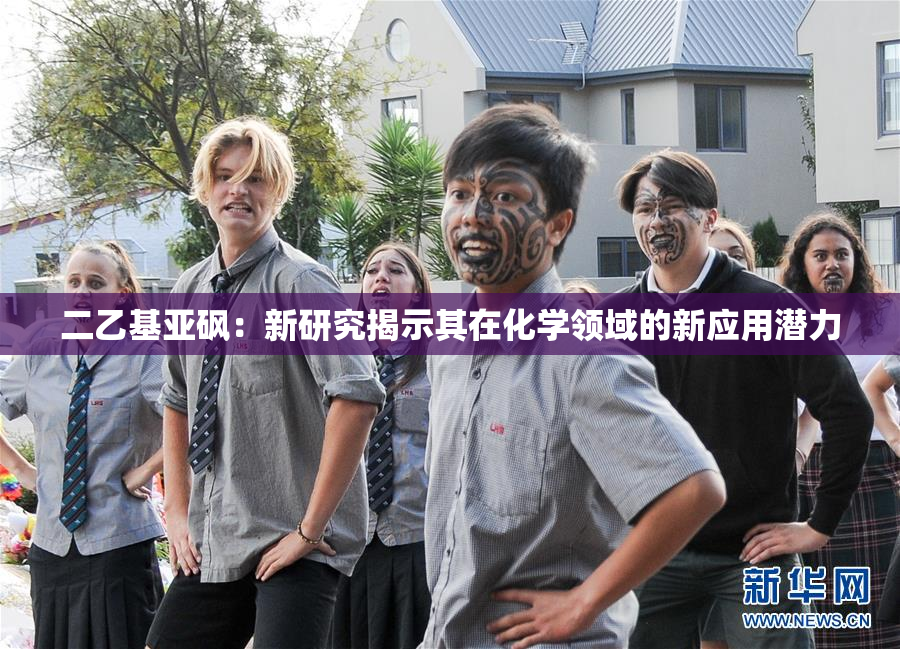 二乙基亚砜：新研究揭示其在化学领域的新应用潜力