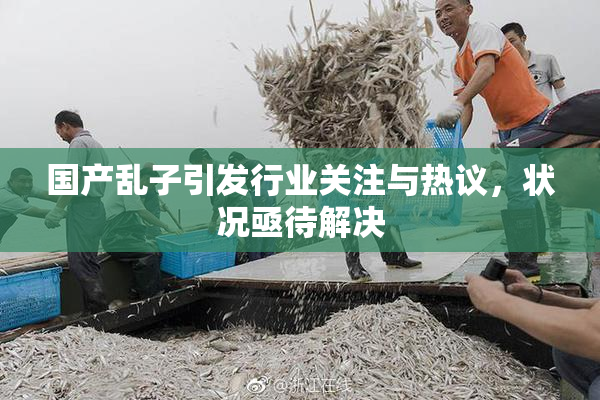 国产乱子引发行业关注与热议，状况亟待解决