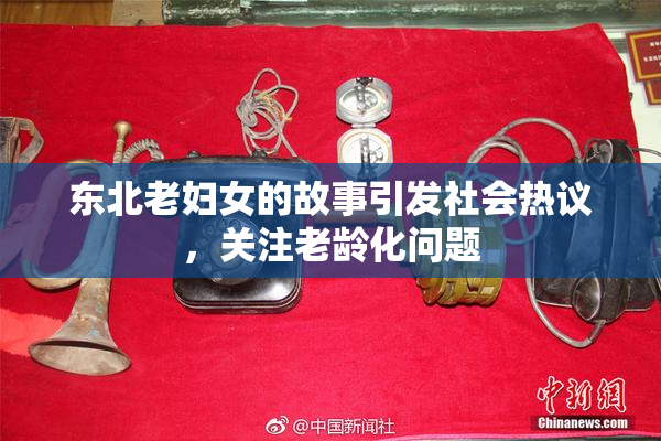 东北老妇女的故事引发社会热议，关注老龄化问题