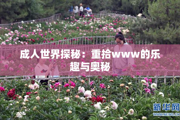 成人世界探秘：重拾www的乐趣与奥秘