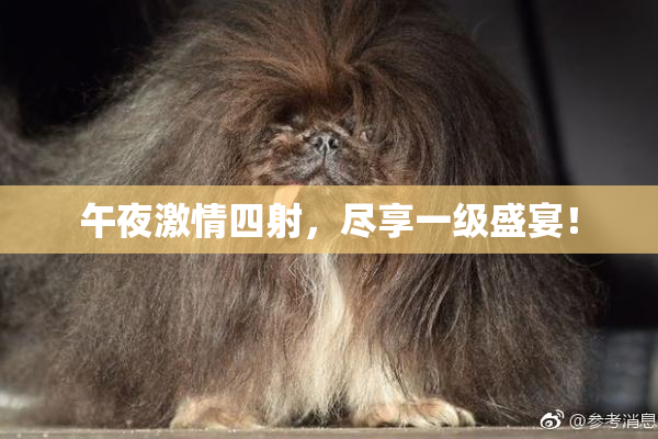 午夜激情四射，尽享一级盛宴！