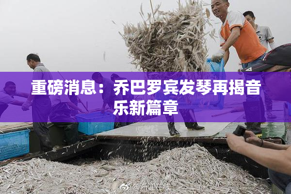 重磅消息：乔巴罗宾发琴再揭音乐新篇章