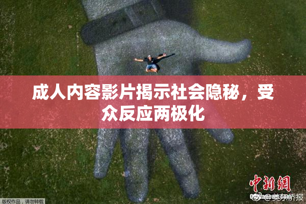 成人内容影片揭示社会隐秘，受众反应两极化