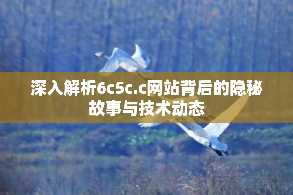 深入解析6c5c.c网站背后的隐秘故事与技术动态