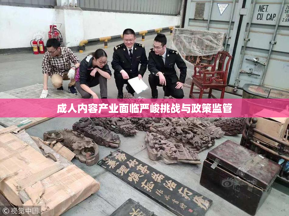 成人内容产业面临严峻挑战与政策监管