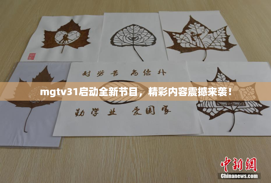 mgtv31启动全新节目，精彩内容震撼来袭！