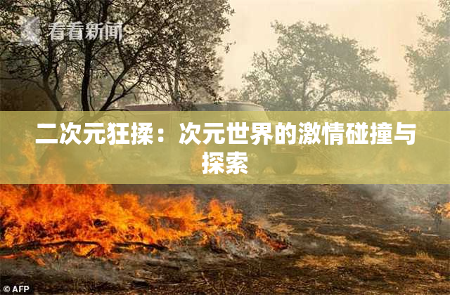 二次元狂揉：次元世界的激情碰撞与探索