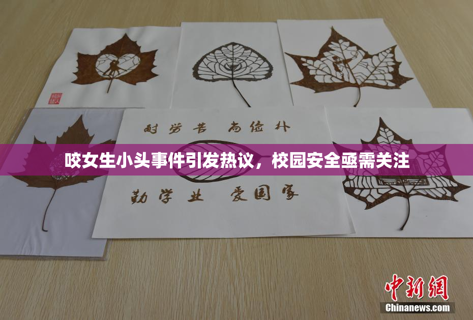 咬女生小头事件引发热议，校园安全亟需关注