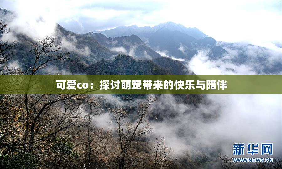 可爱co：探讨萌宠带来的快乐与陪伴