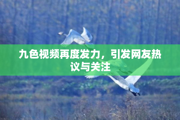 九色视频再度发力，引发网友热议与关注
