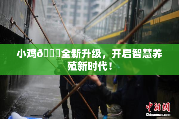 小鸡🐔全新升级，开启智慧养殖新时代！