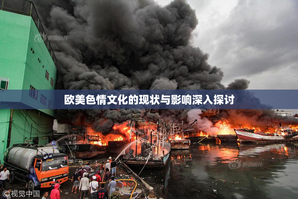欧美色情文化的现状与影响深入探讨