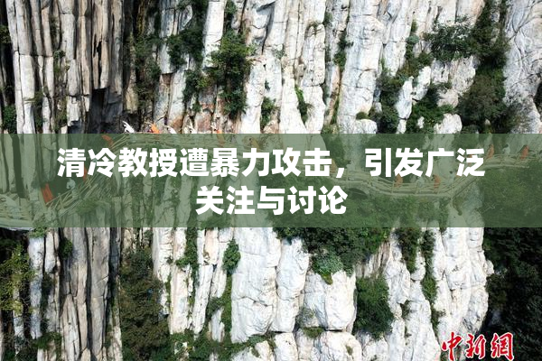 清冷教授遭暴力攻击，引发广泛关注与讨论