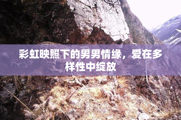 彩虹映照下的男男情缘，爱在多样性中绽放