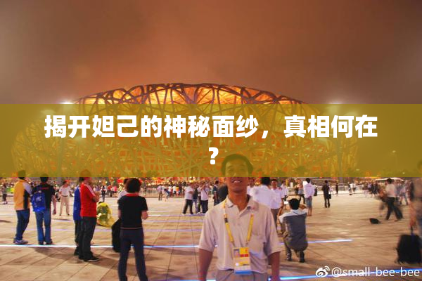 揭开妲己的神秘面纱，真相何在？