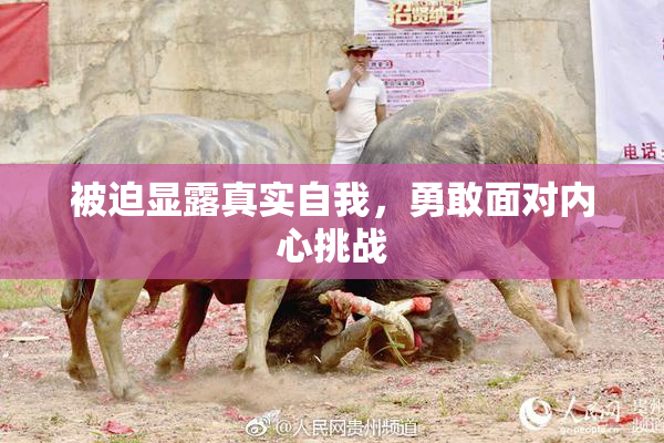 被迫显露真实自我，勇敢面对内心挑战