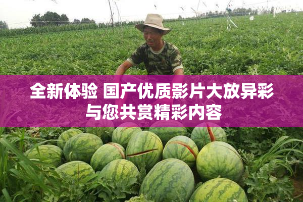 全新体验 国产优质影片大放异彩 与您共赏精彩内容