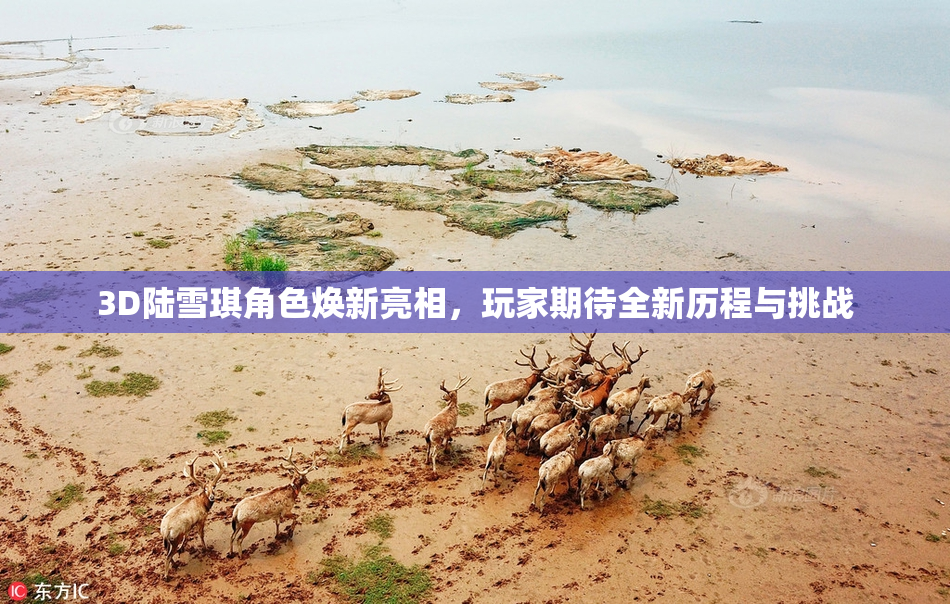 3D陆雪琪角色焕新亮相，玩家期待全新历程与挑战