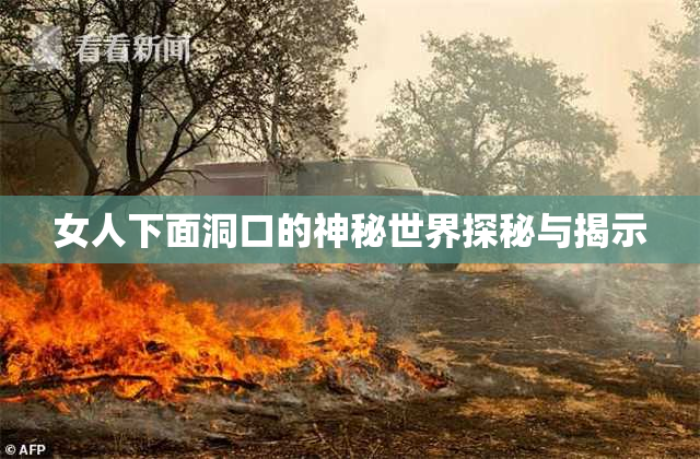 女人下面洞口的神秘世界探秘与揭示