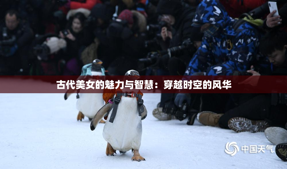 古代美女的魅力与智慧：穿越时空的风华