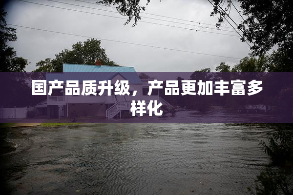 国产品质升级，产品更加丰富多样化