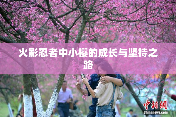 火影忍者中小樱的成长与坚持之路