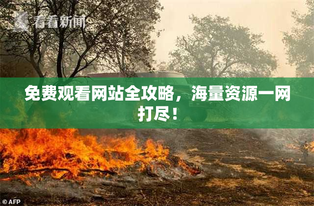 免费观看网站全攻略，海量资源一网打尽！