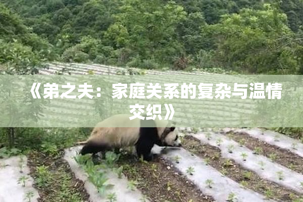 《弟之夫：家庭关系的复杂与温情交织》