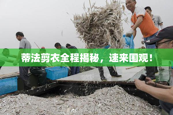 蒂法剪衣全程揭秘，速来围观！