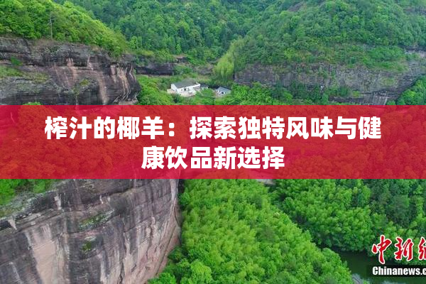 榨汁的椰羊：探索独特风味与健康饮品新选择