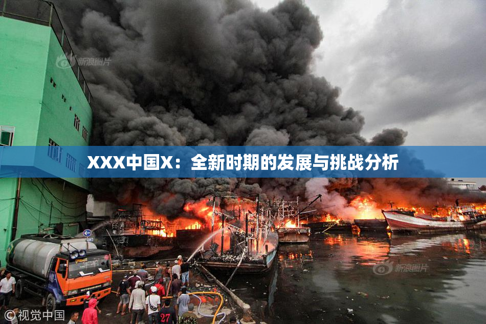 XXX中国X：全新时期的发展与挑战分析