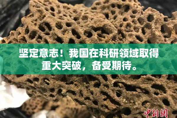 坚定意志！我国在科研领域取得重大突破，备受期待。