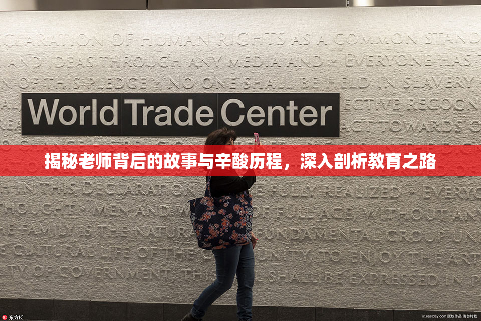 揭秘老师背后的故事与辛酸历程，深入剖析教育之路