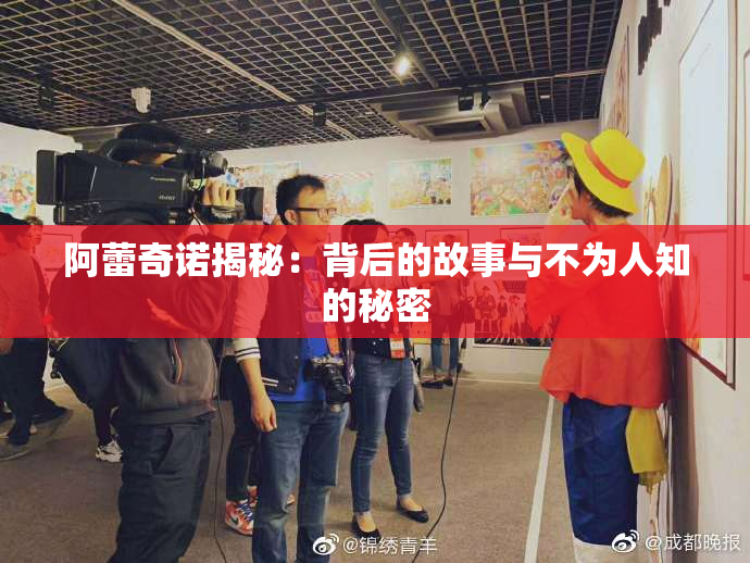 阿蕾奇诺揭秘：背后的故事与不为人知的秘密