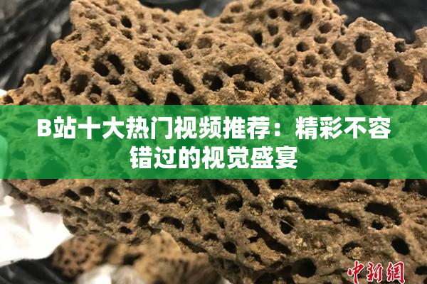 B站十大热门视频推荐：精彩不容错过的视觉盛宴