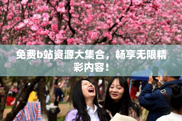 免费b站资源大集合，畅享无限精彩内容！