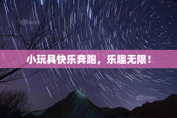小玩具快乐奔跑，乐趣无限！